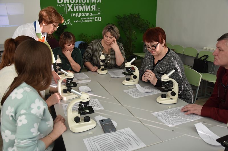 Работа муниципальной стажировочной площадки Работа муниципальной стажировочной площадки
